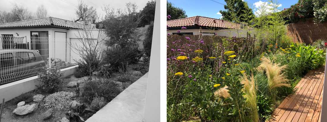 Avant-après de l'aménagement d'une petit jardin dans un lotissement par un paysagiste dans le Finistère et le Morbihan