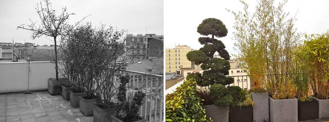 Avant - Après : Aménagement paysagé d'une terrasse avec vue à Quimper