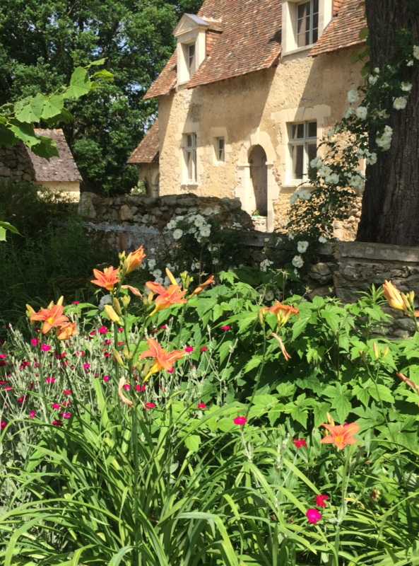Fleurs d'orangés dans un jardin dans le Finistère et le Morbihan