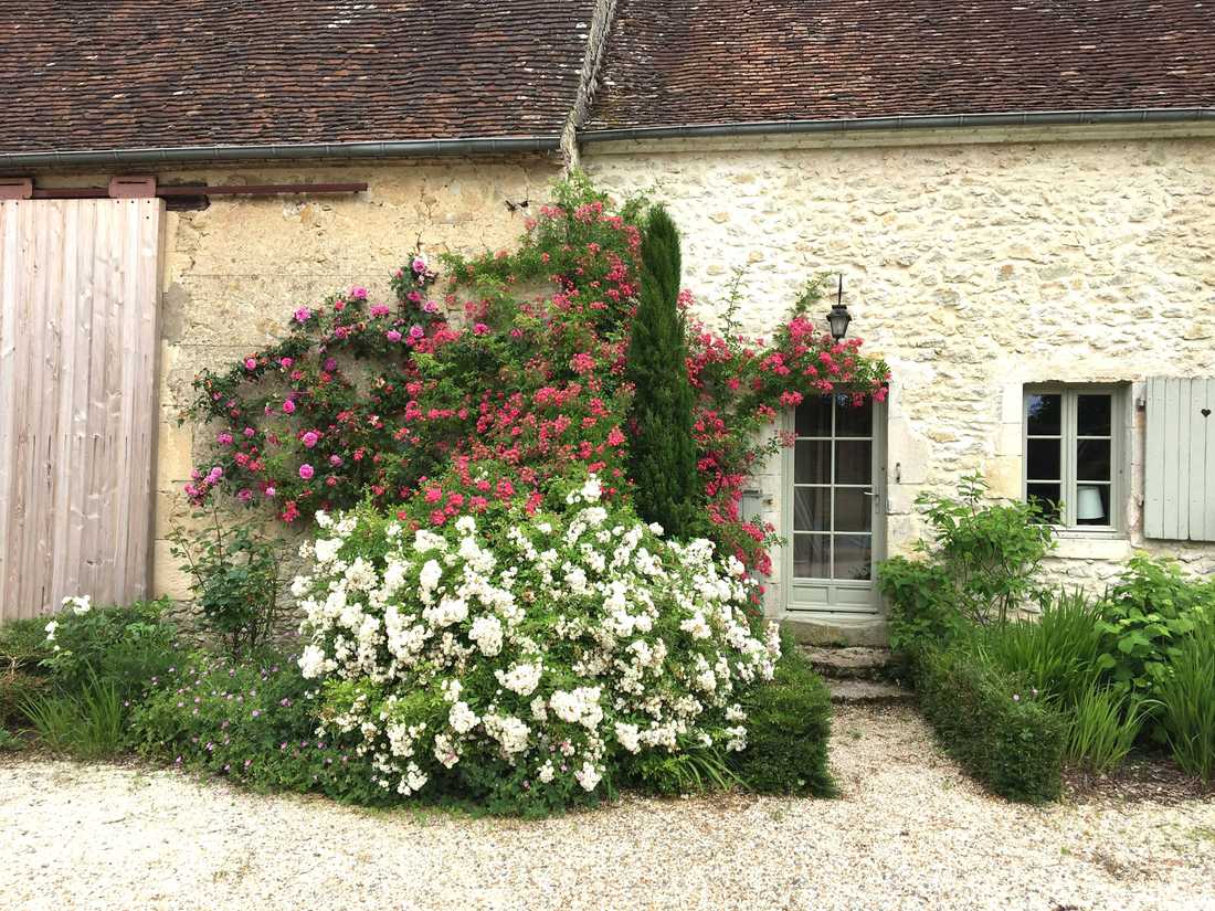 Jardin d'une maison ancienne à Quimper