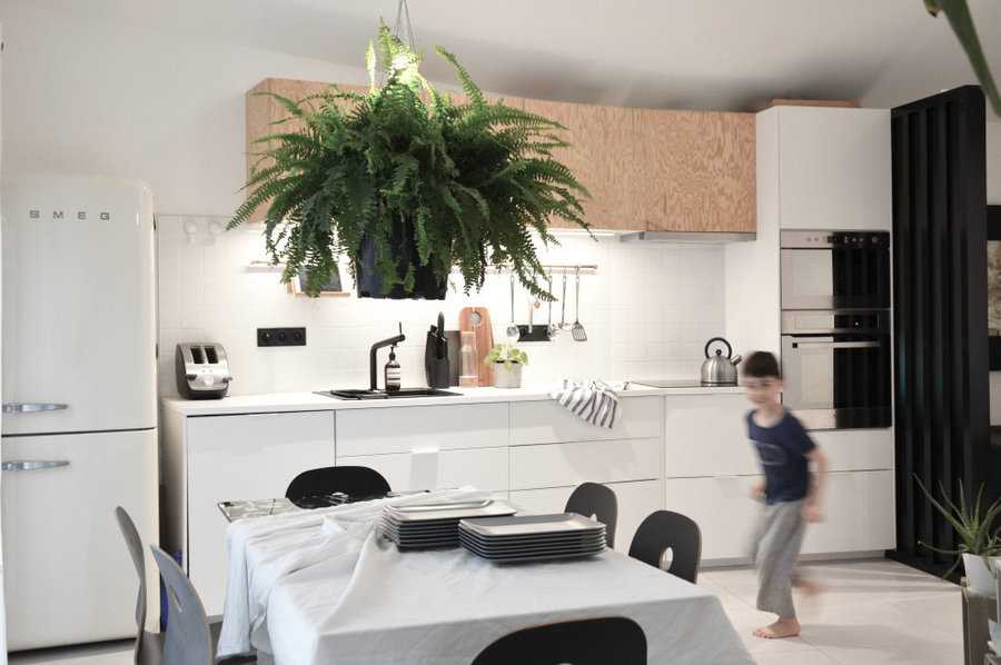 Intérieur de l'extension avec agencement contemporain