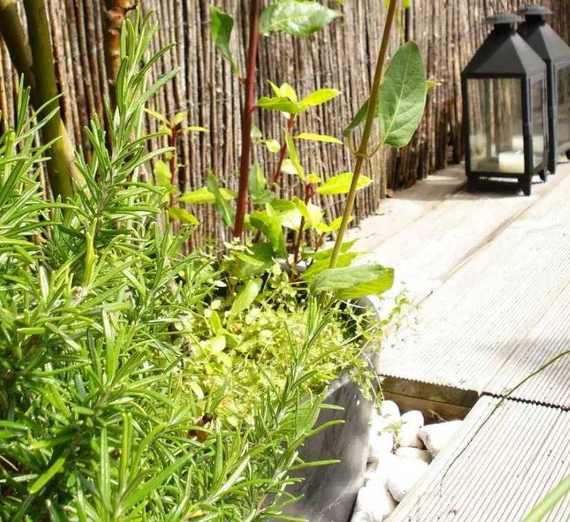 Végétalisation d'un toit-terrasse par un architece paysagiste dans le Finistère et le Morbihan