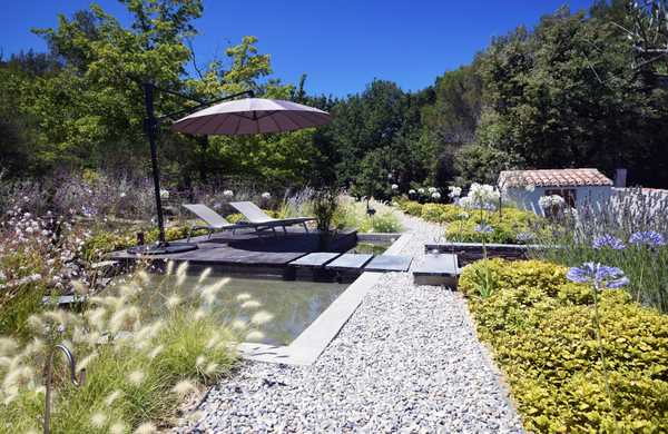 Aménagement d'un jardin méditerranéen avec piscine